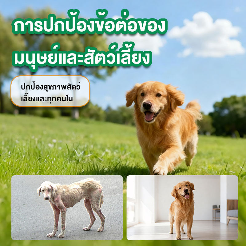 Leryia fipronil spot on (1 กล่อง บรรจุ3 หลอด) สำหรับแมว ผลิตภัณฑ์ป้องกันและกำจัดเห็บหมัด ชนิดหยดหลัง