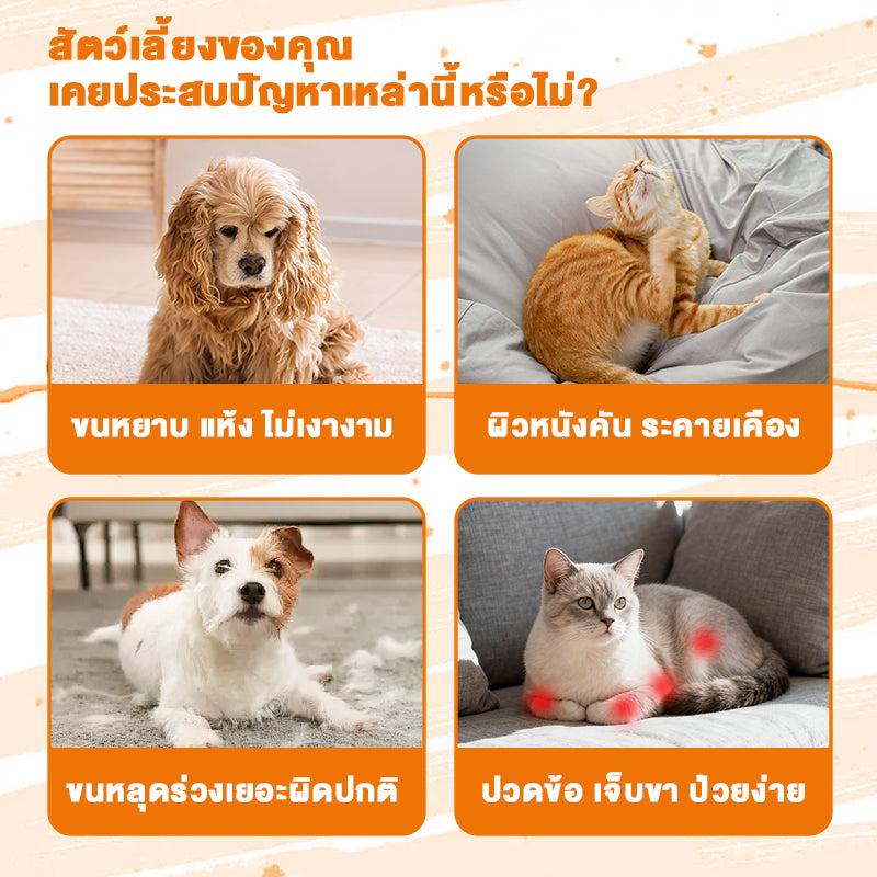 Leryia น้ำมันปลาแซลมอนนอร์เวย์ + น้ำมันคริลล์แอนตาร์กติก 99% บริสุทธิ์ บำรุงขนสวย เงางาม ลดขนร่วง เห็นผลไว สำหรับสุนัขและแมว (120ml)