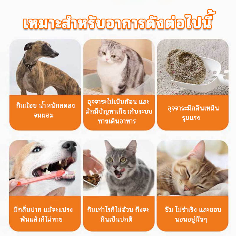 Leryia Probiotics for Dogs & Cats – Fast Relief from Diarrhea, Supports Digestive Health, Helps Ease Stool Passing, 5g × 10 Sachets