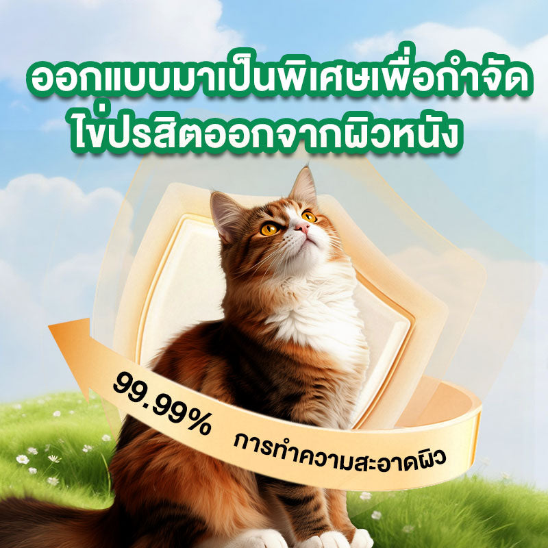 Leryia fipronil spot on (1 กล่อง บรรจุ3 หลอด) สำหรับแมว ผลิตภัณฑ์ป้องกันและกำจัดเห็บหมัด ชนิดหยดหลัง