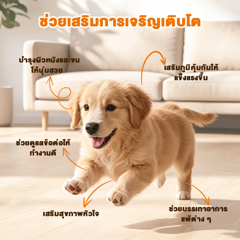 Leryia น้ำมันปลาแซลมอนนอร์เวย์ + น้ำมันคริลล์แอนตาร์กติก 99% บริสุทธิ์ บำรุงขนสวย เงางาม ลดขนร่วง เห็นผลไว สำหรับสุนัขและแมว (120ml)