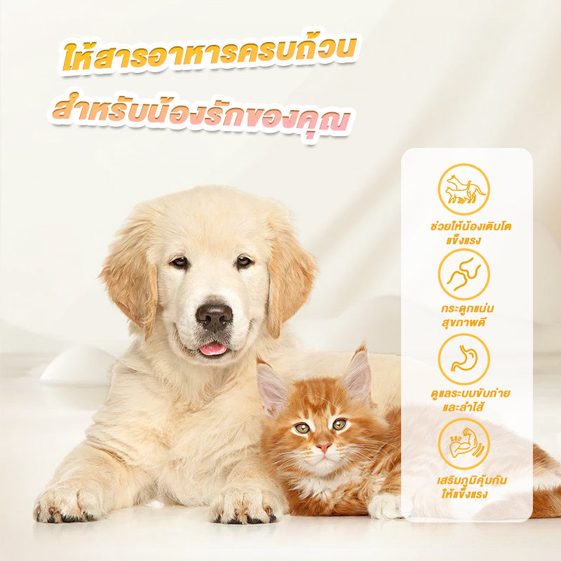 Leryia นมแพะแท้นำเข้าจากนิวซีแลนด์ อ่อนโยนต่อกระเพาะเหมาะสำหรับสุนัขและแมวทุกวัย ดูดซึมง่าย ย่อยเร็ว เสริมแลคโตเฟอร์รินและสารอาหารครบถ้วน 310 กรัม