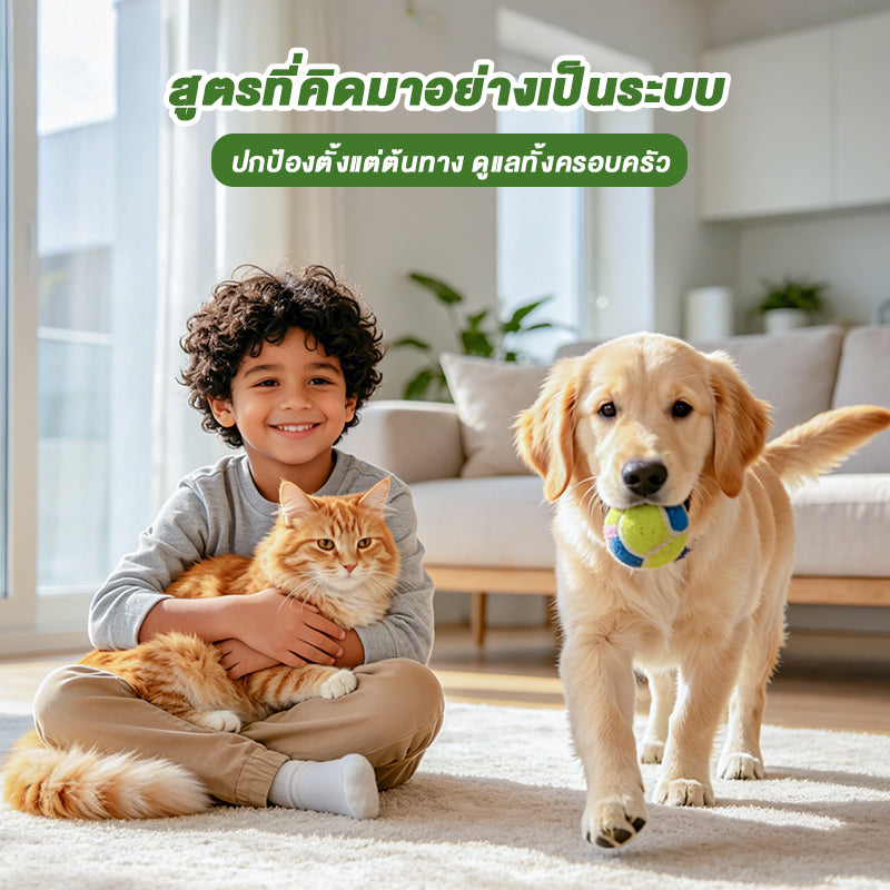 ยาถ่ายพยาธิเม็ด fenbendazole 50 เม็ด สำหรับสุนัขและแมว ฆ่าพยาธิตัวกลม พยาธิปากขอ พยาธิแส้ม้า