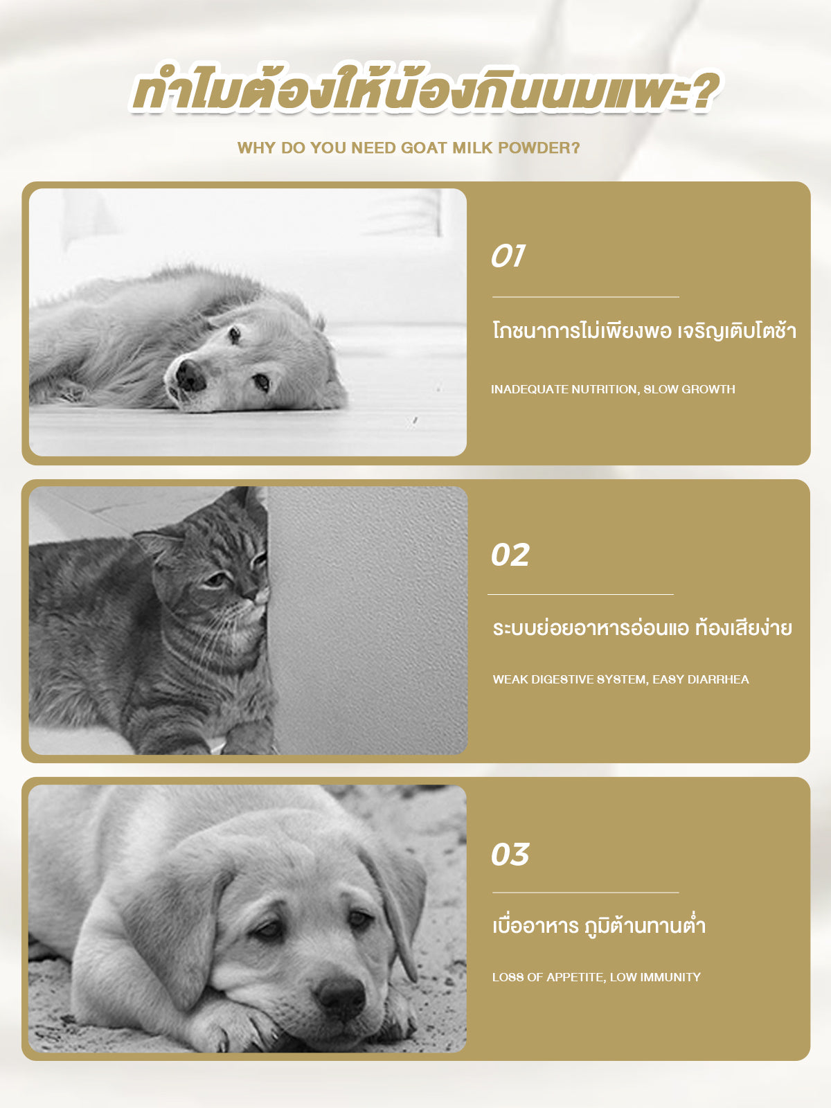 Leryia Pure Goat Milk – Imported from New Zealand, Gentle on the Stomach, Easily Digested & Absorbed, Fortified with Lactoferrin and Complete Nutrients, Suitable for All-Age Dogs & Cats, 310g