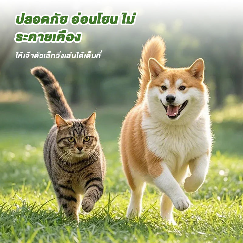 ยาถ่ายพยาธิเม็ด fenbendazole 50 เม็ด สำหรับสุนัขและแมว ฆ่าพยาธิตัวกลม พยาธิปากขอ พยาธิแส้ม้า