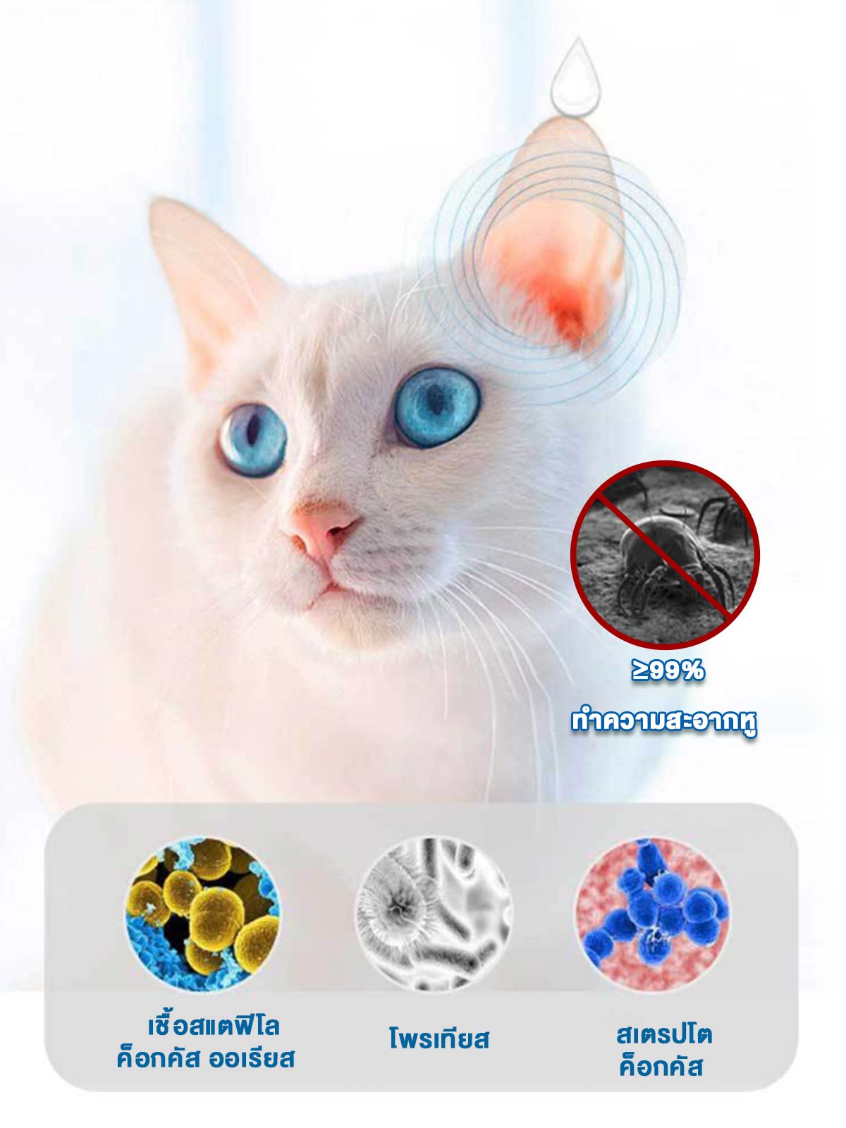 Leryia Pet Eye Drops for Dogs & Cats – Gentle Plant-Based Formula for Tear Stains, Red Eyes & Daily Eye Care