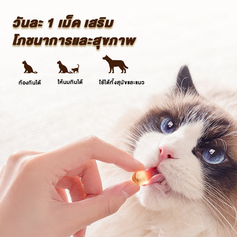 Leryia น้ำมันปลาทะเลลึกสำหรับสัตว์เลี้ยง 80 แคปซูล DHA+EPA สูง บำรุงขน ลดการผลัดขน บำรุงสมองและสายตา ดูแลหัวใจและหลอดเลือด เหมาะสำหรับสุนัขและแมวทุกวัย