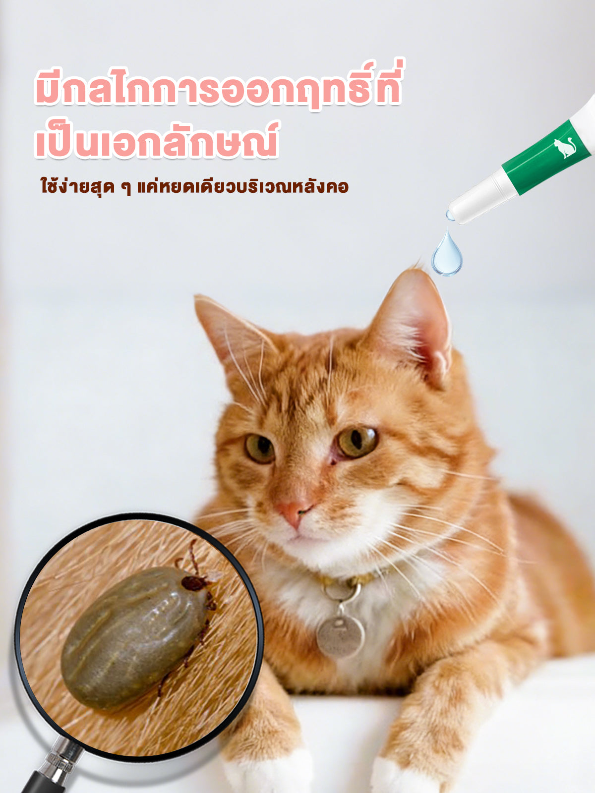 Leryia ไอเท็มจำเป็นสำหรับสัตว์เลี้ยง ผลิตภัณฑ์ป้องกันและกำจัดเห็บหมัด ชนิดหยดหลัง แนะนำใช้เดือนละ 1-2 ครั้ง