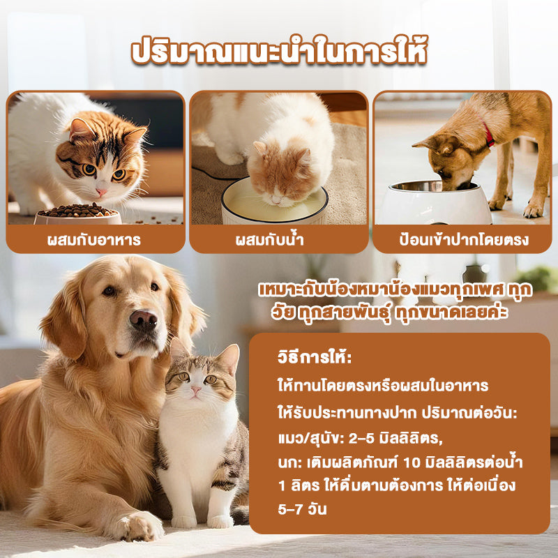 Leryia วิตามินบำรุงระบบทางเดินปัสสาวะ แมว สุนัข ขนาด 50 มล. ใช้ได้ทั้งน้องหมาน้องแมว