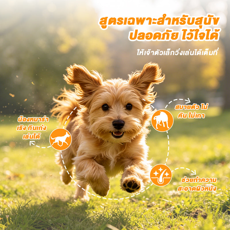 Leryia ยาถ่ายพยาธิเม็ด albendazole สำหรับสุนัข 50 เม็ด/ขวด