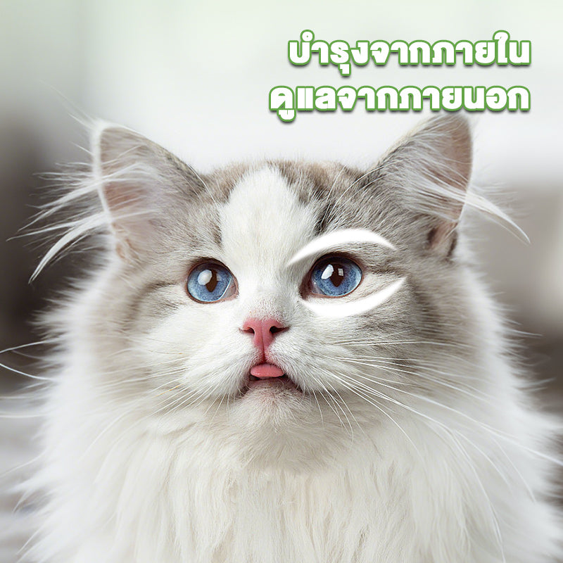 Leryia อาหารเสริมแบบน้ำ สำหรับดูแลและลดคราบน้ำตาในสัตว์เลี้ยง ใช้ได้น้องหมากับน้องแมว