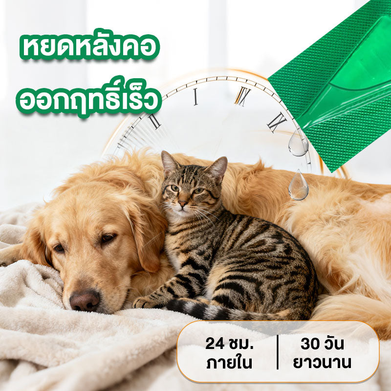 Leryia fipronil spot on (1 กล่อง บรรจุ3 หลอด) สำหรับแมว ผลิตภัณฑ์ป้องกันและกำจัดเห็บหมัด ชนิดหยดหลัง