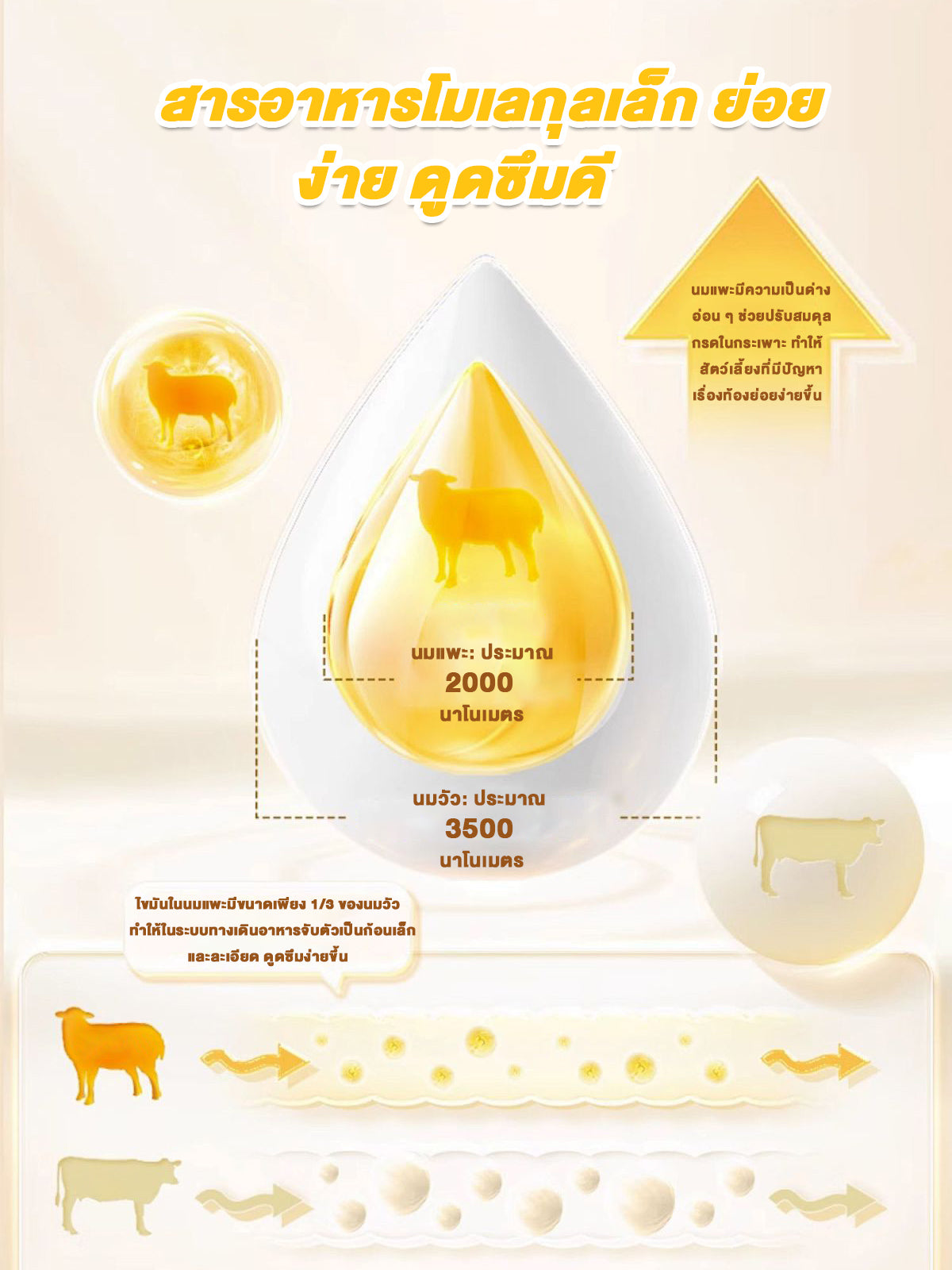 Leryia Pure Goat Milk – Imported from New Zealand, Gentle on the Stomach, Easily Digested & Absorbed, Fortified with Lactoferrin and Complete Nutrients, Suitable for All-Age Dogs & Cats, 310g