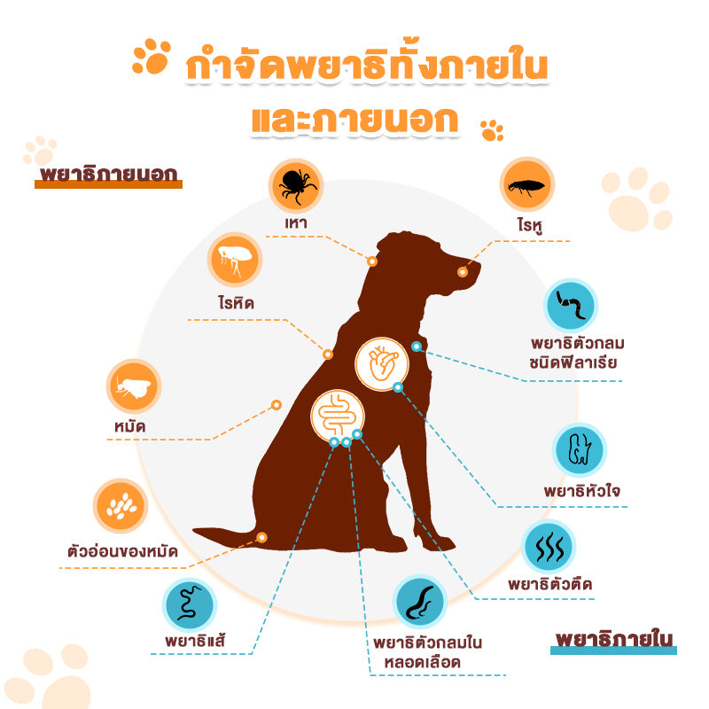 Leryia  ยาหยอดกำจัดหมัดสำหรับสุนัข (imidacloprid) ขนาดตามน้ำหนักตัว 0.4ml / 1.0ml / 2.5ml / 4.0ml — ฆ่าหมัดได้ภายใน 12 ชั่วโมง อยู่ได้นาน 1 เดือน