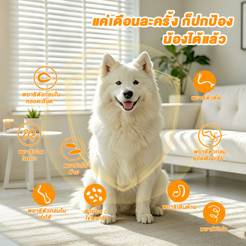 Leryia ยาถ่ายพยาธิเม็ด albendazole สำหรับสุนัข 50 เม็ด/ขวด