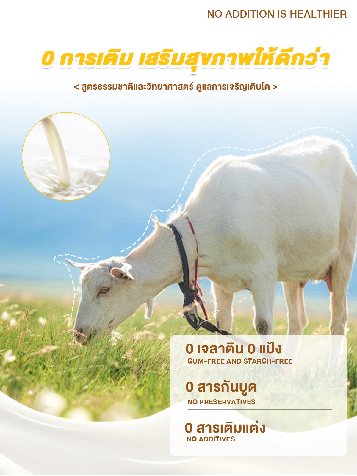 Leryia Pure Goat Milk – Imported from New Zealand, Gentle on the Stomach, Easily Digested & Absorbed, Fortified with Lactoferrin and Complete Nutrients, Suitable for All-Age Dogs & Cats, 310g