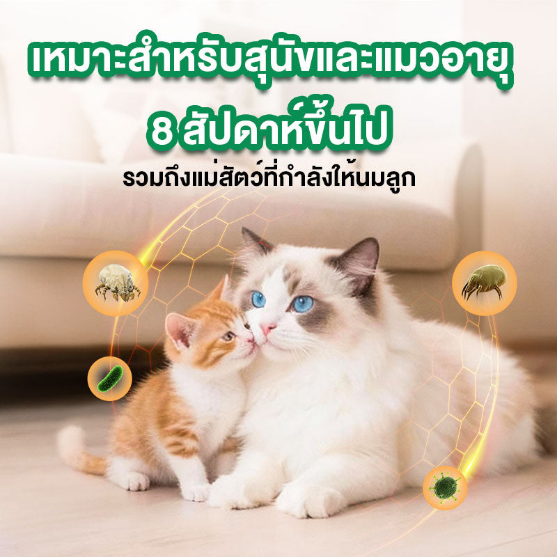 Leryia fipronil spot on (1 กล่อง บรรจุ3 หลอด) สำหรับแมว ผลิตภัณฑ์ป้องกันและกำจัดเห็บหมัด ชนิดหยดหลัง