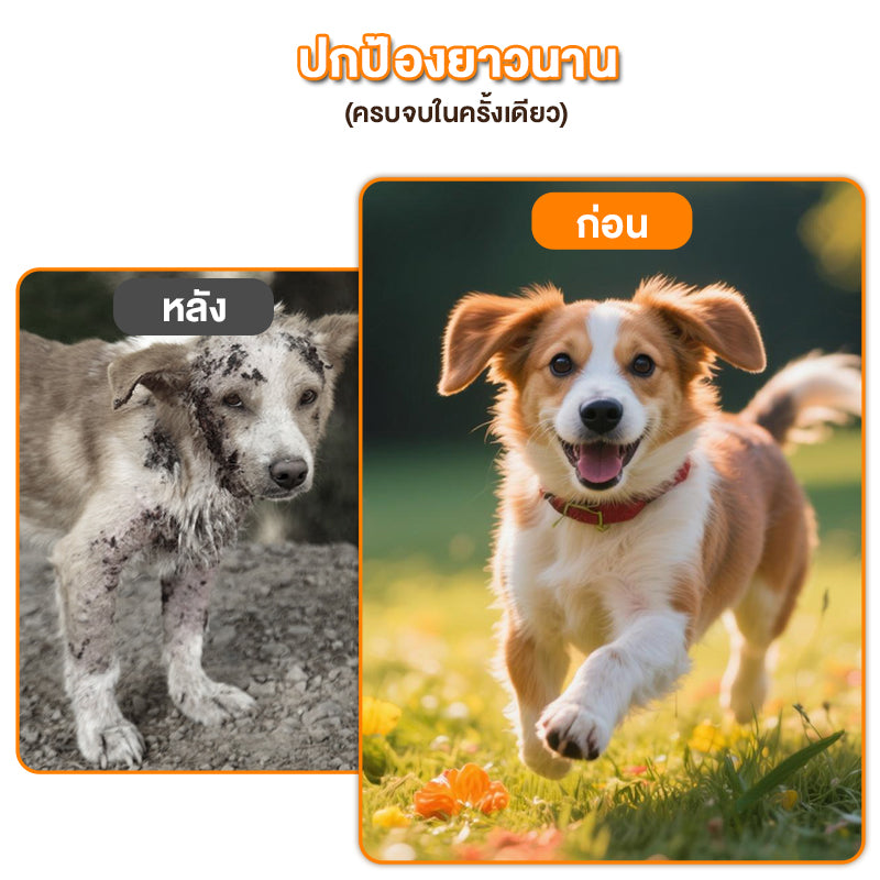 Leryia ยาหยอดเห็บหมัดอะเวอร์เมกติน สำหรับสุนัขและแมว ขนาด 0.5มล.*3หลอด/กล่อง ยาถ่ายพยาธิภายนอก-ภายใน
