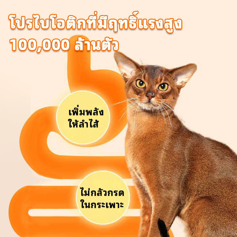 Leryia Probiotics for Dogs & Cats – Fast Relief from Diarrhea, Supports Digestive Health, Helps Ease Stool Passing, 5g × 10 Sachets