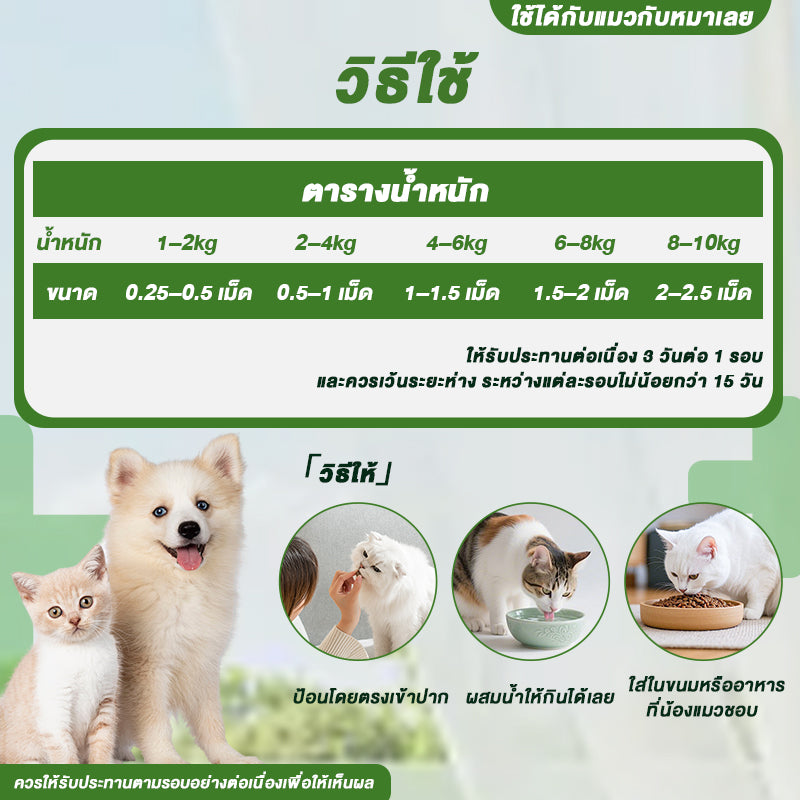 ยาถ่ายพยาธิเม็ด fenbendazole 50 เม็ด สำหรับสุนัขและแมว ฆ่าพยาธิตัวกลม พยาธิปากขอ พยาธิแส้ม้า