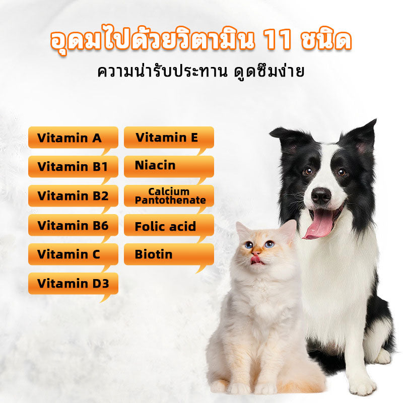 Leryia Probiotics for Dogs & Cats – Fast Relief from Diarrhea, Supports Digestive Health, Helps Ease Stool Passing, 5g × 10 Sachets