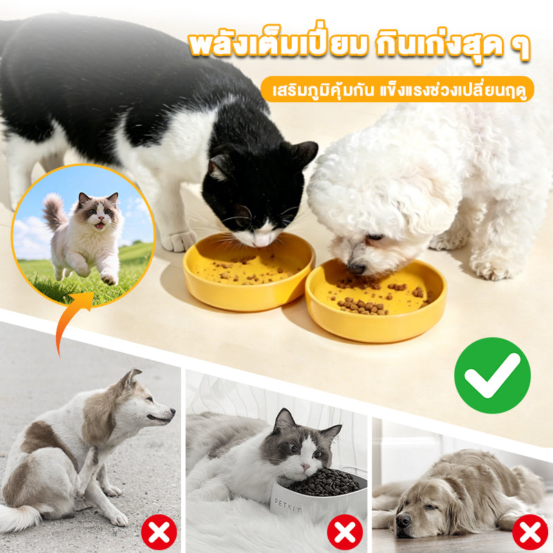 Leryia Soft chewable tablets — tasty treats and a nutritious dietary supplement for pets (New Arrival Discount)
